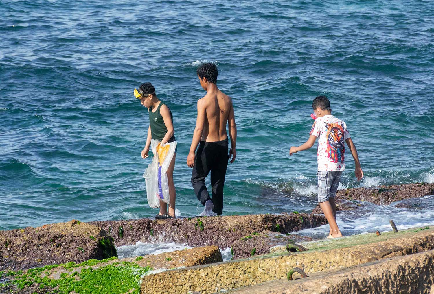 Tres niños egipcios con trajes de baño y equipo de esnórquel caminan sobre las rocas cubiertas de musgo de la costa, listos para nadar en las aguas azules y movidas del mar Mediterráneo en Alejandría