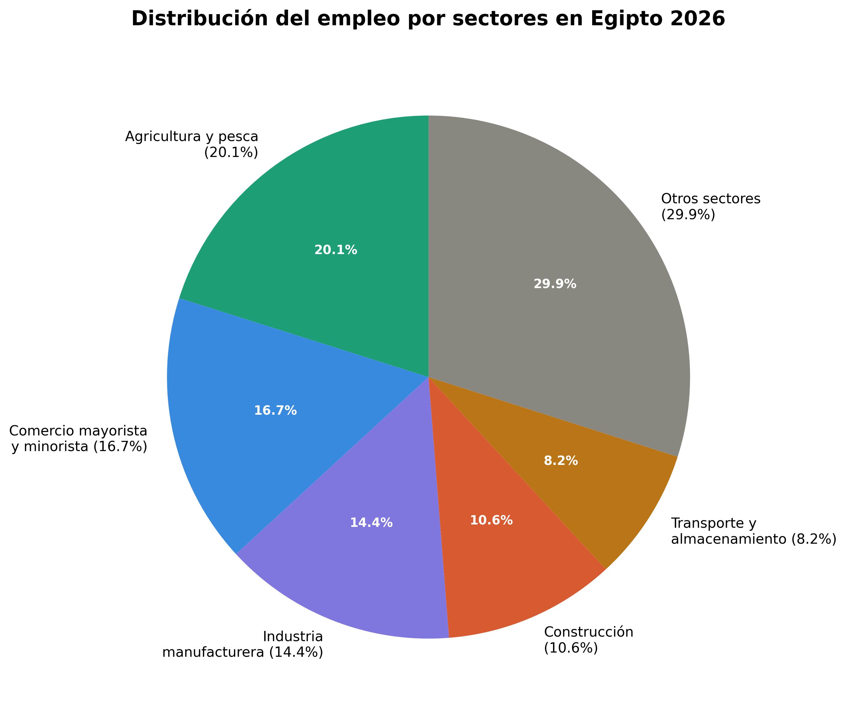 Gráfico circular de la distribución del empleo en Egipto 2026: Agricultura 20,1%, Comercio 16,7%, Industria 14,4%, Construcción 10,6%, Transporte 8,2% y otros sectores 29,9%
