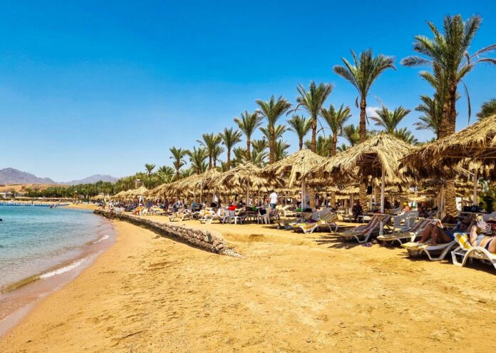 Playa de arena dorada en Sharm el-Sheij con tumbonas, sombrillas de paja y una hilera de palmeras altas bajo un cielo azul despejado, con montañas al fondo