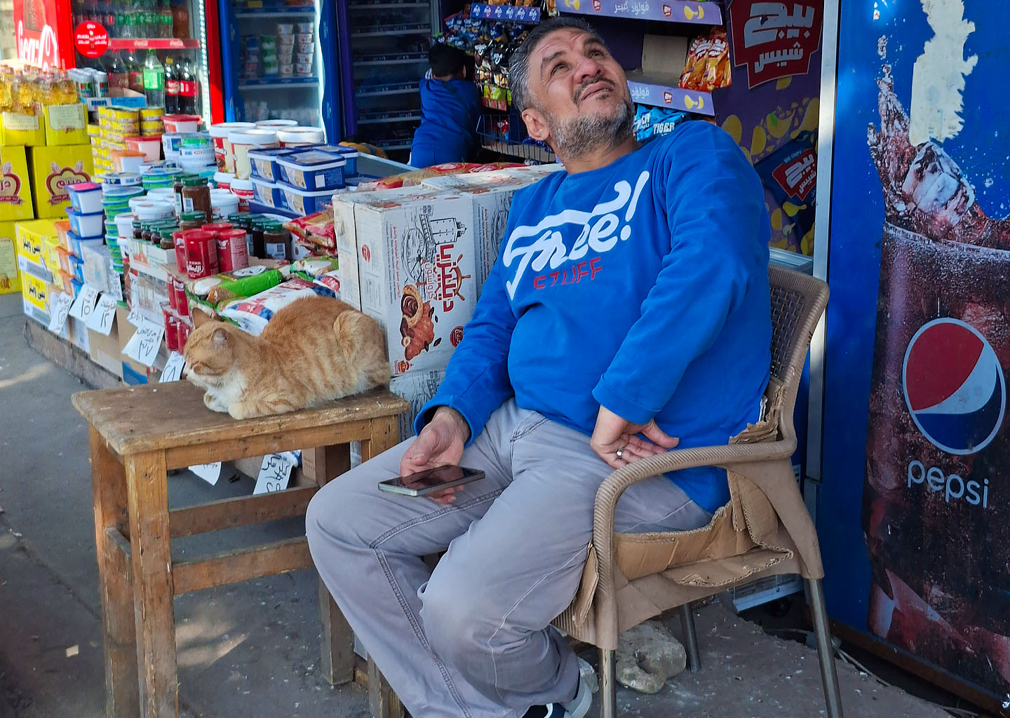 Uno de los gatos callejeros en Egipto durmiendo relajado en una mesa de madera al lado de un comerciante local en un mercado de Alejandría