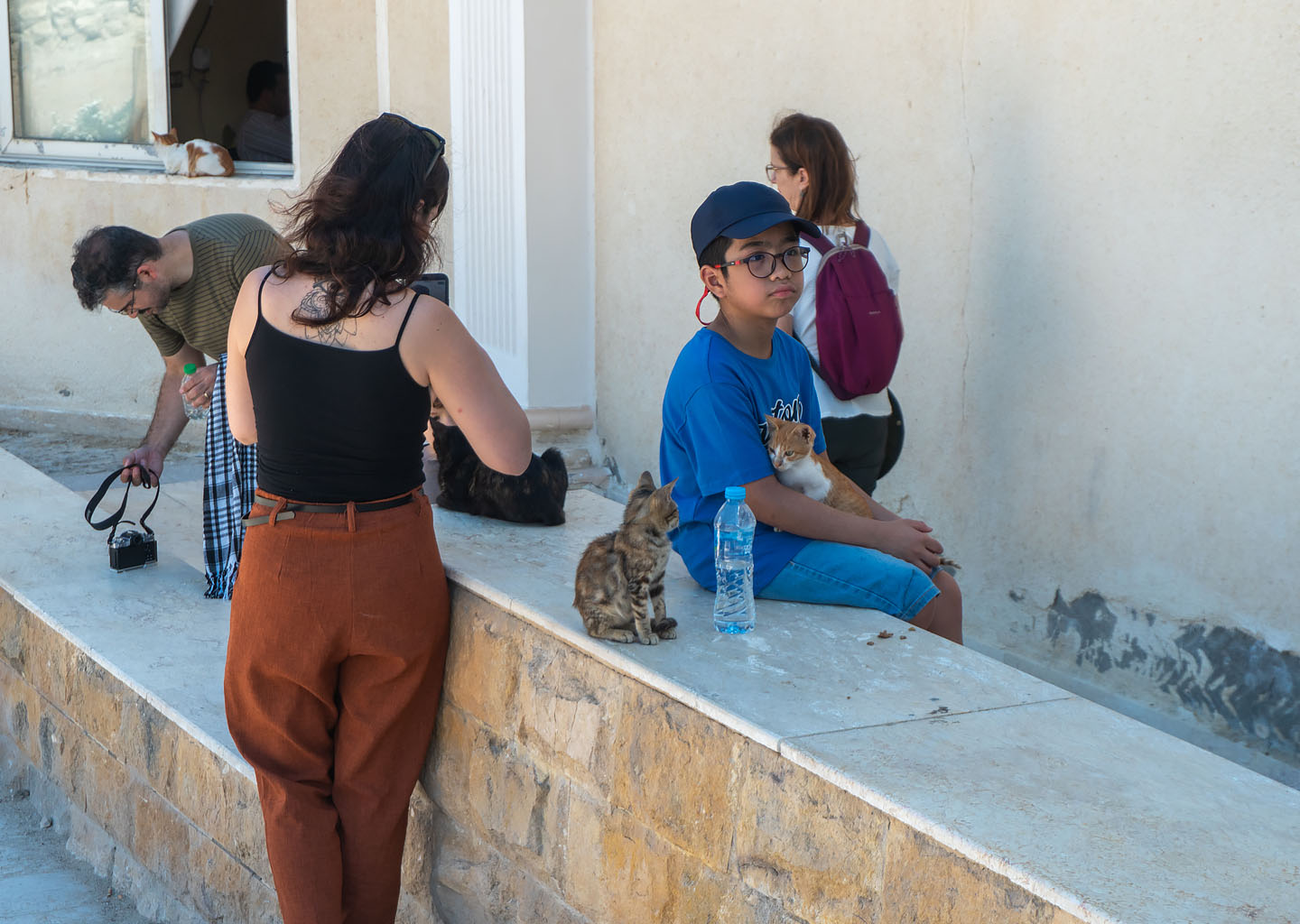 Niño sentado en un muro de piedra sosteniendo un pequeño gato en su regazo rodeado de turistas en la Columna de Pompeyo, ejemplo de los animales callejeros en Egipto